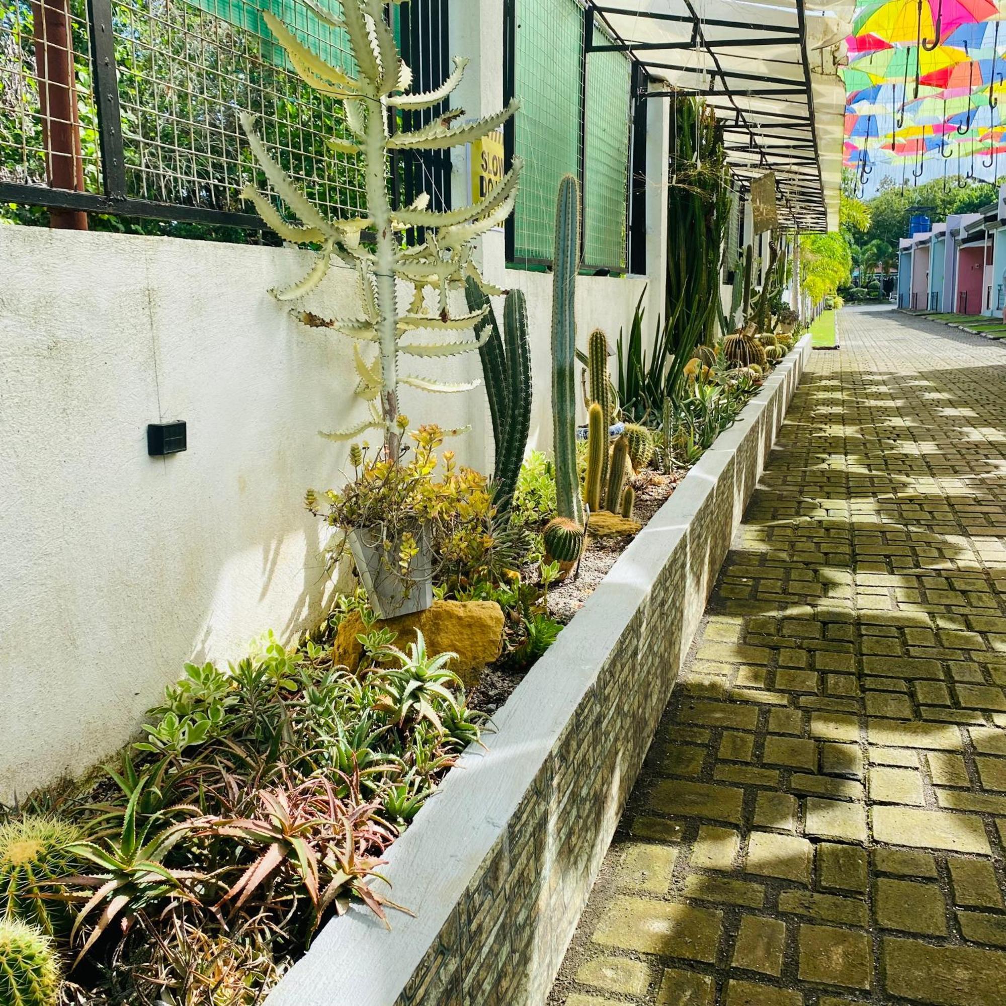 Sunshine Stay Panglao-stad Buitenkant foto